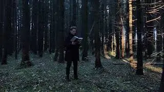 Некоторые особенности лабиринта