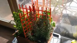 3D Print Useful: Grid for Plants // Stampa 3D Utile: Grata (Griglia) per piante
