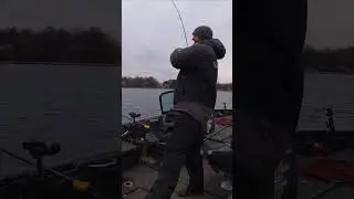 Fish Number 2 - Mille Lacs Tank 