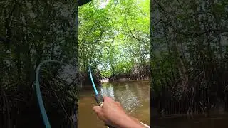 Langsung Di lahap Umpanya #mancing #fishing