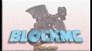 A New Minecraft Server: Blockmc.org