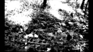 Draconian Method - in the darkest corners