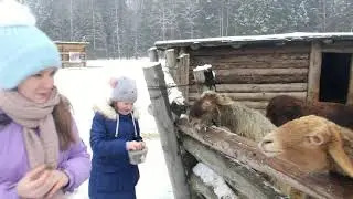 Этнопарк 