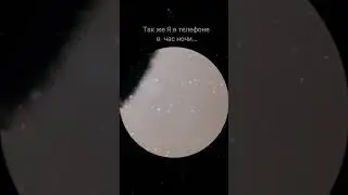 если жиза то лайк🤪