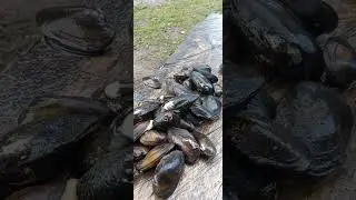 Голод не тётка