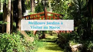 Meilleurs Jardins à Visiter au Maroc | احسن الحدائق بالمغرب