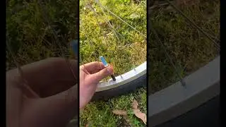HOTDOG | LED Bike Valve Caps 