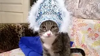 Ну, погоди! На новый лад.