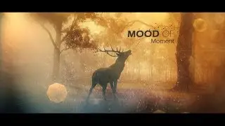 Mood Of Moments Parallax Opener | Free Download After Effects Projects | Karthik Reviews
