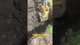 скептик под туалет.