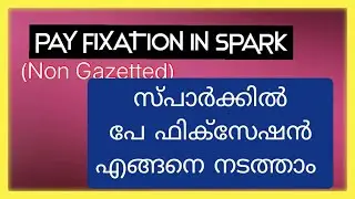 HOW TO FIX YOUR NEW PAY IN SPARK (11TH PAY FIXATION)