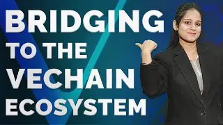 Tutorial Showcasing Usage of Safeswap | Vechain Tutorial Video | Explained In Hindi