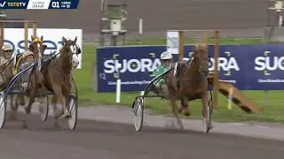 Tähtisprintteri 2023 - Caijus