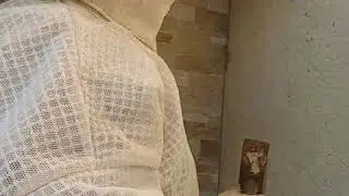 Избавление от пчёл