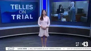 "He's lost his mind" OJ's lawyer weighs in on Telles trial
