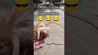 10 июня 2023 г.