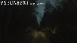 Пешеходы в темноте - без фликеров и с оными