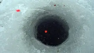 Пулемётный клёв сороги, Рыбалка в глухозимье, февраль
