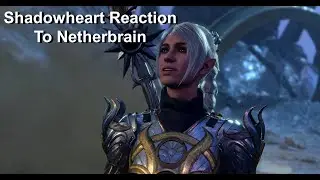 Shadowheart,Lae'zel And Minsc Reaction To Netherbrain |  Ultra 4k | Baldur's Gate 3