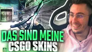 DAS SIND MEINE CSGO SKINS!💲_____€ WERT🤴Repaz