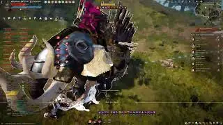 Black Desert 2024 07 21   Распугали всех врагов!
