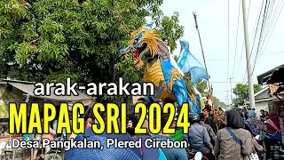 MAPAG SRI 2024,Desa Pangkalan Kec.Plered Cirebon