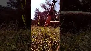 Getting Used to Backwards Motion in Tricking  - No Step Forward, Two Steps Back (Backflips etc.)