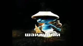 куда идёт шайлушай 3.