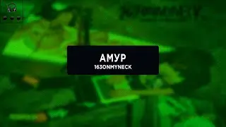 163ONMYNECK -  АМУР