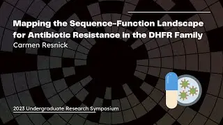 Mapping the Sequence-Function Landscape for Antibiotic Resistance in the DHFR Family