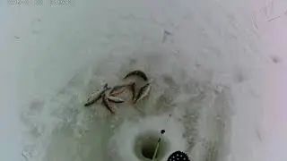 Чаны Банникова 5 12 2021