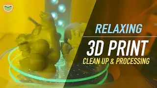 Relaxing 3D Printing Process: Anycubic Photon M3 Premium + Wash & Cure Station