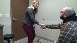 What Happens When I Bring My Pet to the ER?