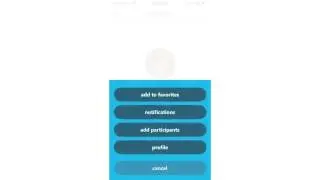 How To View Profiles In The New Skype Update (Version 5.2)
