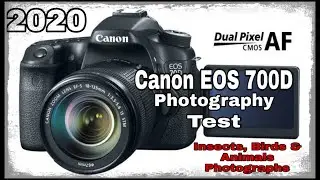 Canon EOS 700D || Camera Test || Insects, Birds & Animal Photographs || Awesome Photographs || 2020