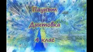 Паунът - Диктовка
