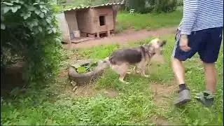 2024 8 16 Тульский пряник Весте