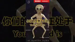 ti mo thee xiao le mae