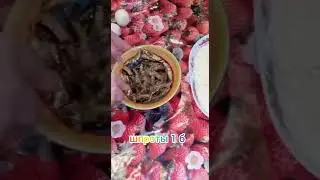 Салат 