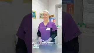 Как защитить питомца в сезон клещей?