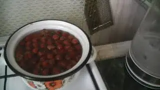S1000001 Отвар из ранеток.Для наших певчих птиц.