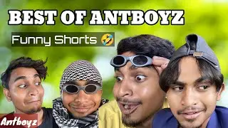 Best Of Antboyz Funny Shorts || হেসে হেসে পেট ব্যাথা 🤣 || Antboyz