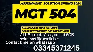 mgt504 assignment solution Spring 2024