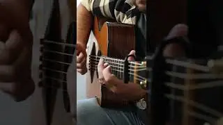 Tom Anello - Riff of the Day | ELIXIR Strings #riffoftheday #acousticguitar   #elixirstrings