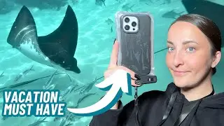 Lamicall Waterproof Phone Pouch Review – Snorkeling with Stingrays & Crystal-Clear Shots!