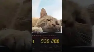 капитан Марвел Феликс Ник Фьюри