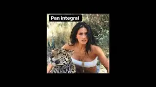 Pan Integral Meme Barbara de Regil
