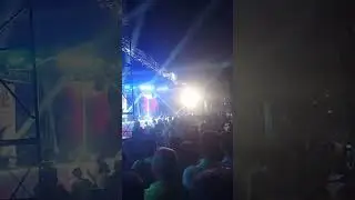 Tammi light vatoi bazar