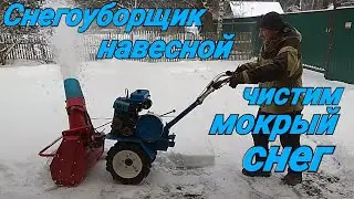 Снегоуборщик навесной для мотоблока. Чистим мокрый снег.