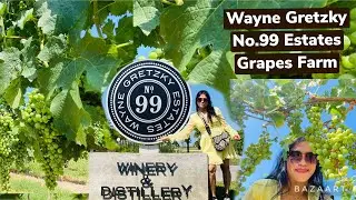 Wayne Gretzky Estate No.99 Grapes Farm